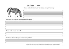 Zebra-Fragen-1.pdf